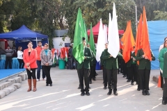 pic-4